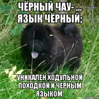 чёрный чау- ... язык чёрный; уникален ходульной походкой и черным языком.
