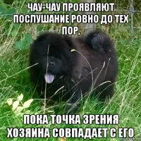 чау-чау проявляют послушание ровно до тех пор, пока точка зрения хозяина совпадает с его