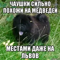 чаушки сильно похожи на медведей местами даже на львов
