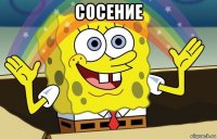 сосение 