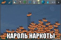  кароль наркоты