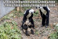 бляяя бляяя бляяя бляяя бляяя бляяя бляяя бляяя бляяя бляяя бляяя бляяя 