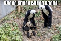 бляяя бляяя бляяя бляяя 