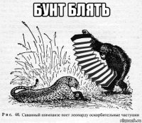 бунт блять 