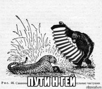  пути н гей