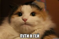  пути н гей