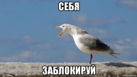 себя заблокируй