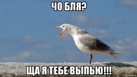 чо бля? ща я тебе выпью!!!