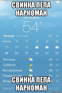 свинка пепа наркоман свинка пепа наркоман