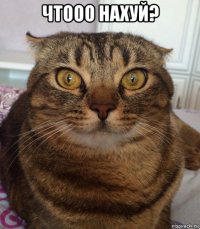 чтооо нахуй? 