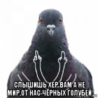  слышишь хер вам а не мир,от нас чёрных голубей
