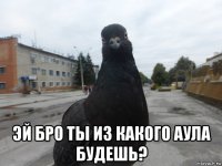 эй бро ты из какого аула будешь?