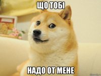 що тобі надо от мене