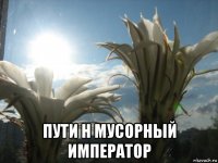  пути н мусорный император