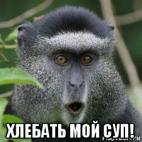  хлебать мой суп!