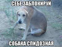 себе заблокируй собака спидозная