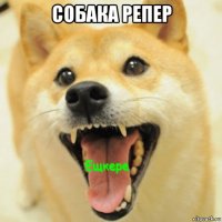 собака репер 