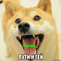  пути н гей
