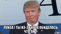  луиза ! ты из-за кота обиделась что ли ?