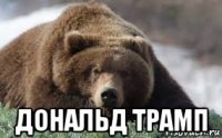  дональд трамп