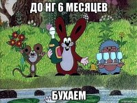 до нг 6 месяцев бухаем