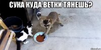 сука куда ветки тянешь? 