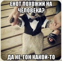 енот похожий на человека? да не, гон какой-то