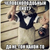 человекоподобный енот? да не, гон какой-то