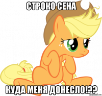 строко сена куда меня донесло!??