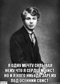  я одну мечту скрывая нежу,что я сердцем чист, но и я кого нибудь зарежу под осенний свист.