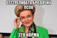 отстреливать бродячих псов это норма