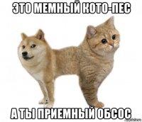 это мемный кото-пес а ты приемный обсос