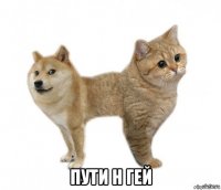  пути н гей