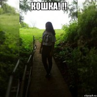 кошка! !! 