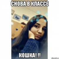 снова в классе кошка! !!