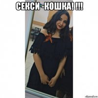 секси -кошка! !!! 