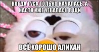 когда туса только началась, а настя уже уебалась в щи всё хорошо алихан