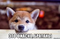  это фиаско, братаны