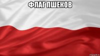 флаг пшеков 