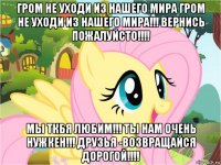 гром не уходи из нашего мира гром не уходи из нашего мира!!! вернись пожалуйсто!!!! мы ткбя любим!!! ты нам очень нужкен!!! друзья -возвращайся дорогой!!!!