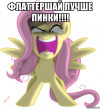 флаттершай лучше пинки!!!! 