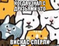 когда узнал с друзьями что вискас спёрли
