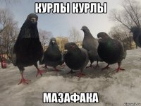 курлы курлы мазафака