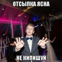 отсылка ясна не кипишуй