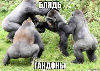 блядь гандоны