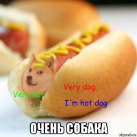  очень собака