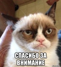  спасибо за внимание