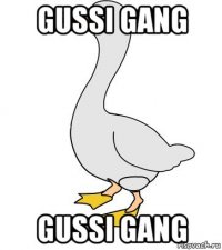 gussi gang gussi gang