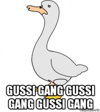  gussi gang gussi gang gussi gang