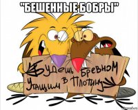 "бешенные бобры" 